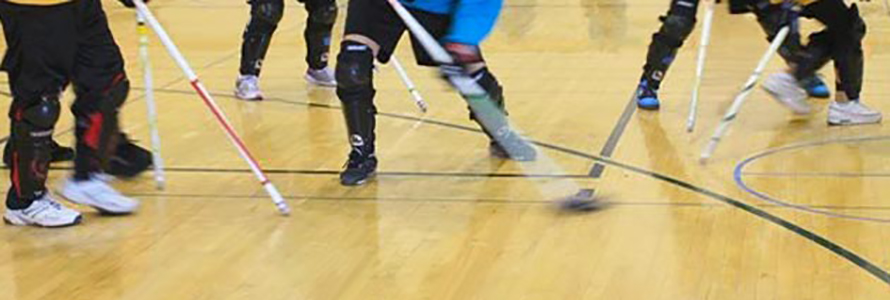 Floor Hockey League – Prospect Heights Park District