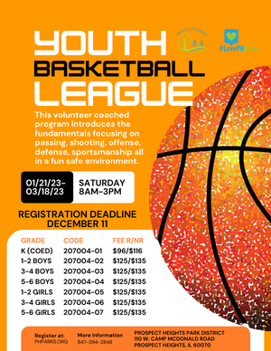 youth basketball league